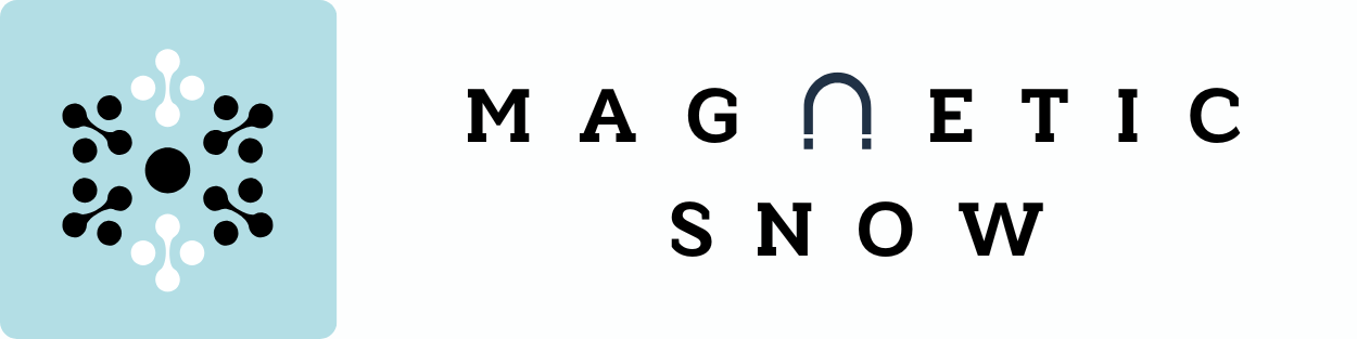 magnetic-snow-whistleblower-software-kenya-logo-landscape